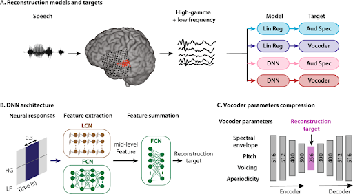 researchers-at-columbia-university-use-deep-learning-to-translate-brain-activity-into-words-for-epileptic-cases-img-0
