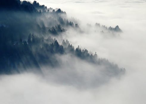 article-image-time-travelling-spring