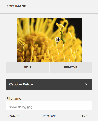 adding-and-editing-content-your-web-pages-img-0