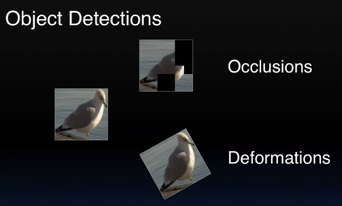 teaching-gans-a-few-tricks-a-bird-is-a-bird-is-a-bird-robots-holding-on-to-things-and-bots-imitating-human-behavior-img-0