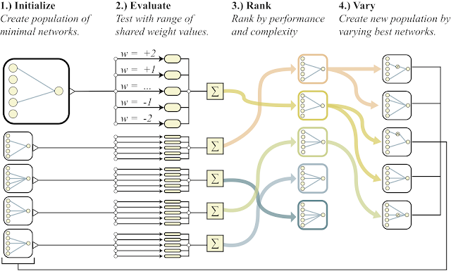 google-researchers-weight-agnostic-neural-networks-perform-tasks-without-learning-weight-parameters-img-0