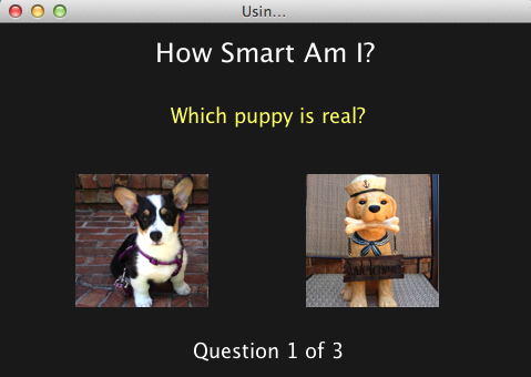 creating-quizzes-img-1