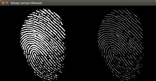 fingerprint-detection-using-opencv-img-2
