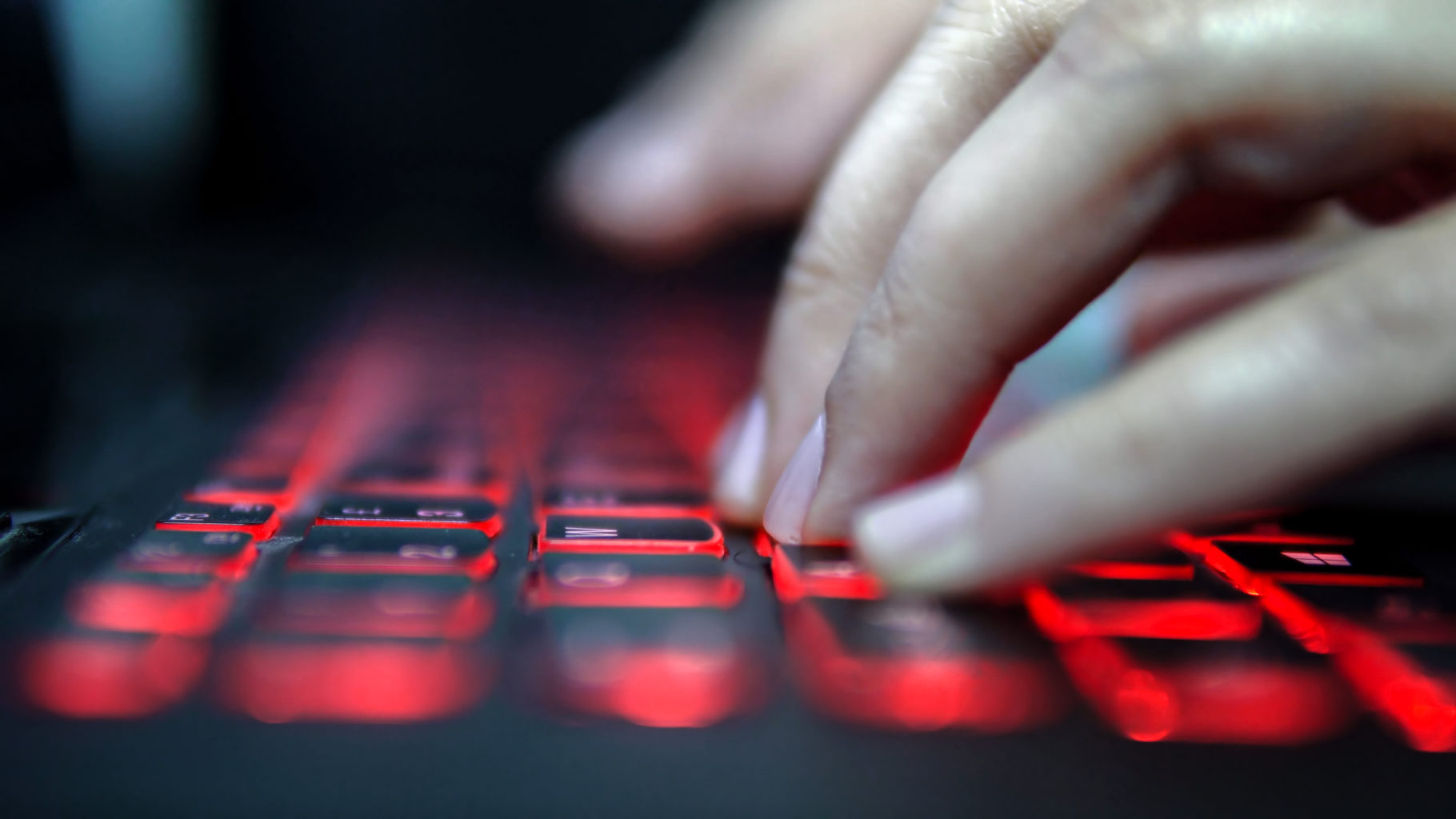 article-image-go-phish-what-do-thieves-get-from-stealing-our-data