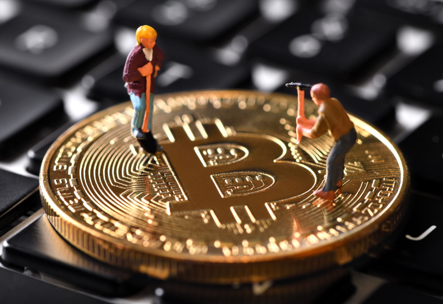 article-image