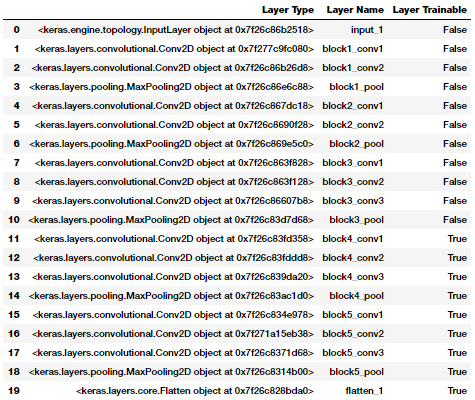 how-to-leverage-transfer-learning-using-pretrained-cnn-models-tutorial-img-4