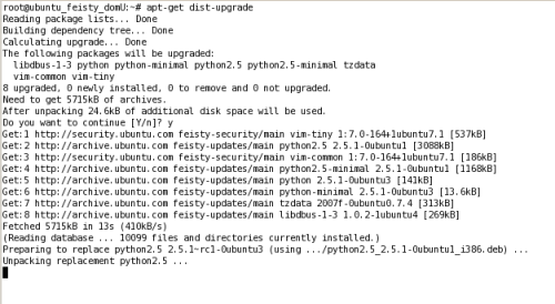 xen-virtualization-work-mysql-server-ruby-rails-and-subversion-img-2