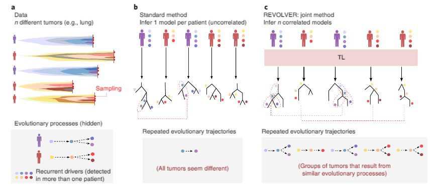 revolver-a-machine-learning-approach-to-forecast-cancer-growth-img-0
