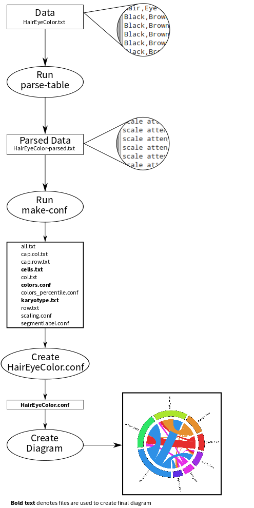 creating-first-circos-diagram-img-1