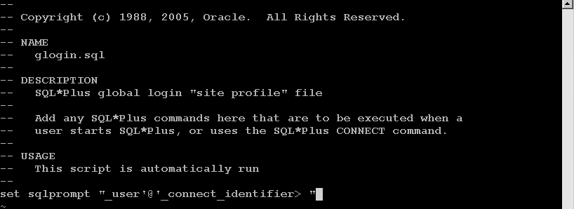 oracle-environmental-variables-and-scripting-img-4