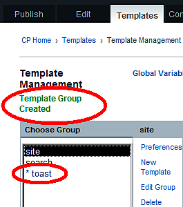 Building Websites with ExpressionEngine 1.6 creating-your-first-web-page-using-expressionengine-part-1-img-5