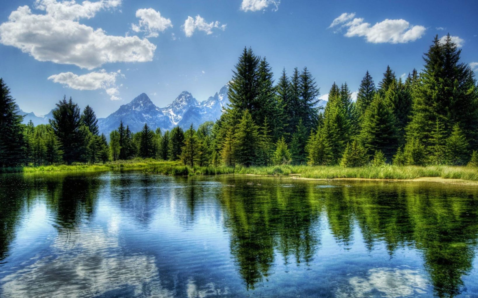 article-image-development-ajax-web-widget